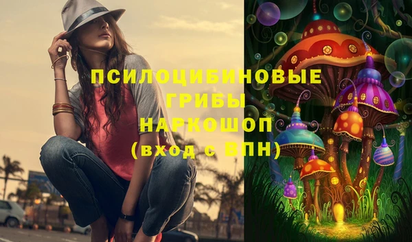 трава Беломорск