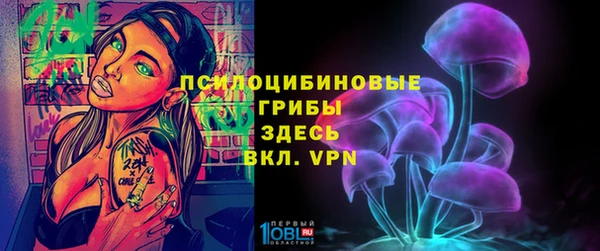 трава Беломорск
