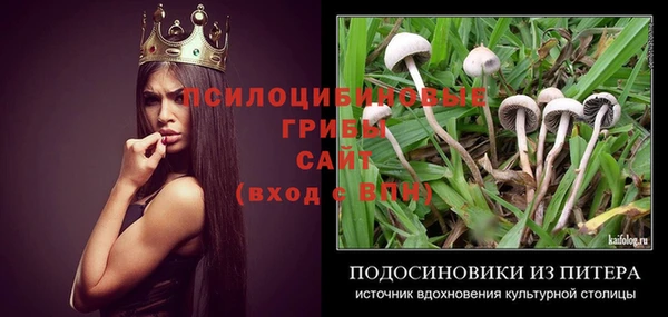 трава Беломорск