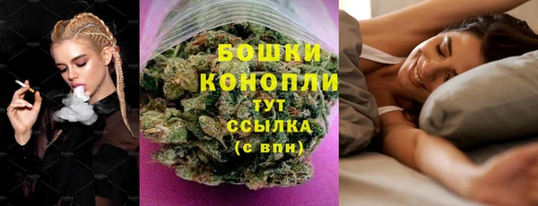 трава Беломорск
